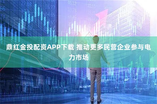 鼎红金投配资APP下载 推动更多民营企业参与电力市场